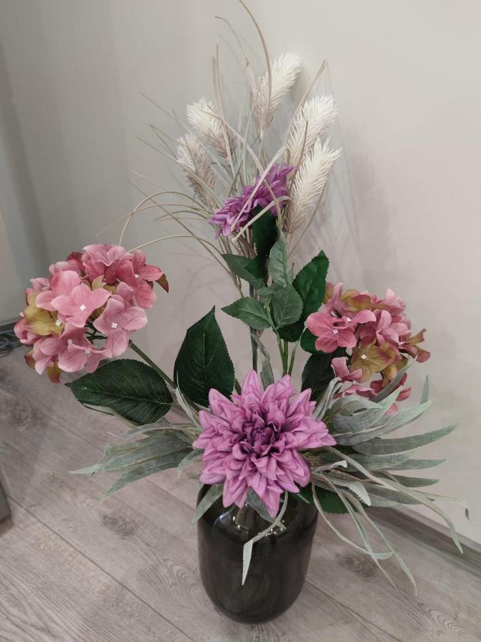 Flowers Apartment Dobritch Extérieur photo
